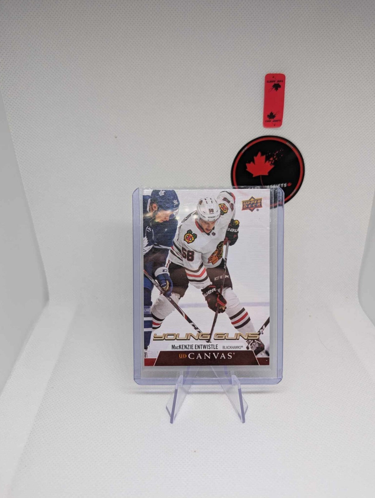2020-21 Upper Deck Young Guns Canvas Rookie RC #C238 MacKenzie Entwistle