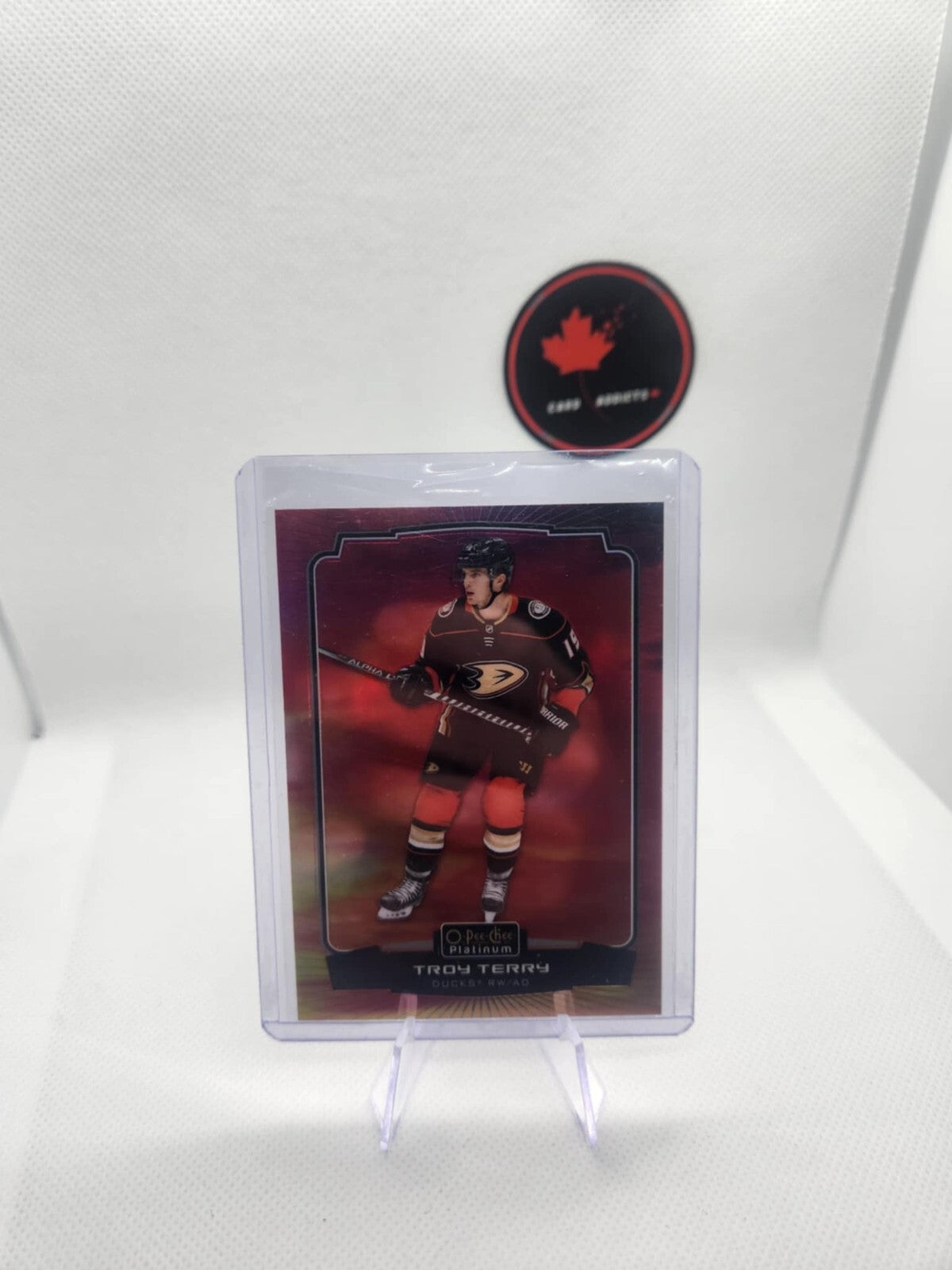 2022-23 O-Pee-Chee OPC Platinum Hockey Troy Terry Sunset Anaheim Ducks #81