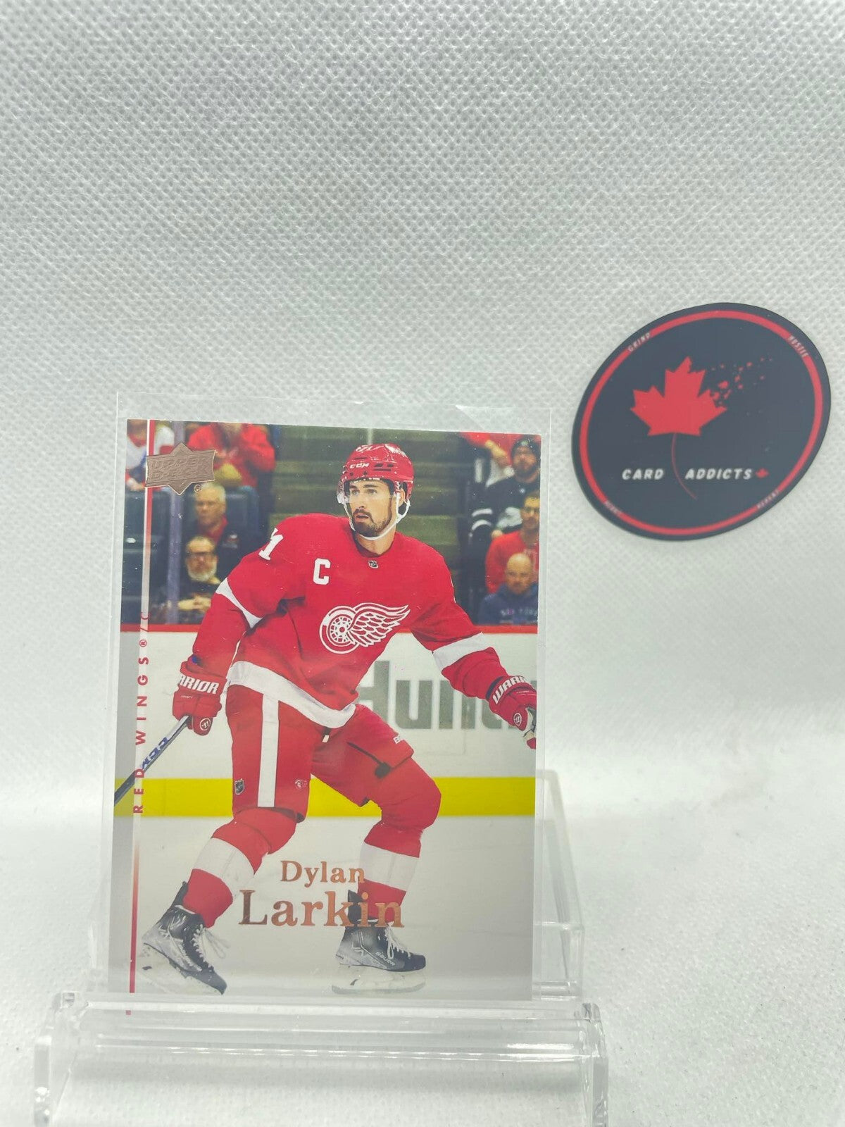 2022-23 UD Extended Series 2007-08 UD Retro Dylan Larkin