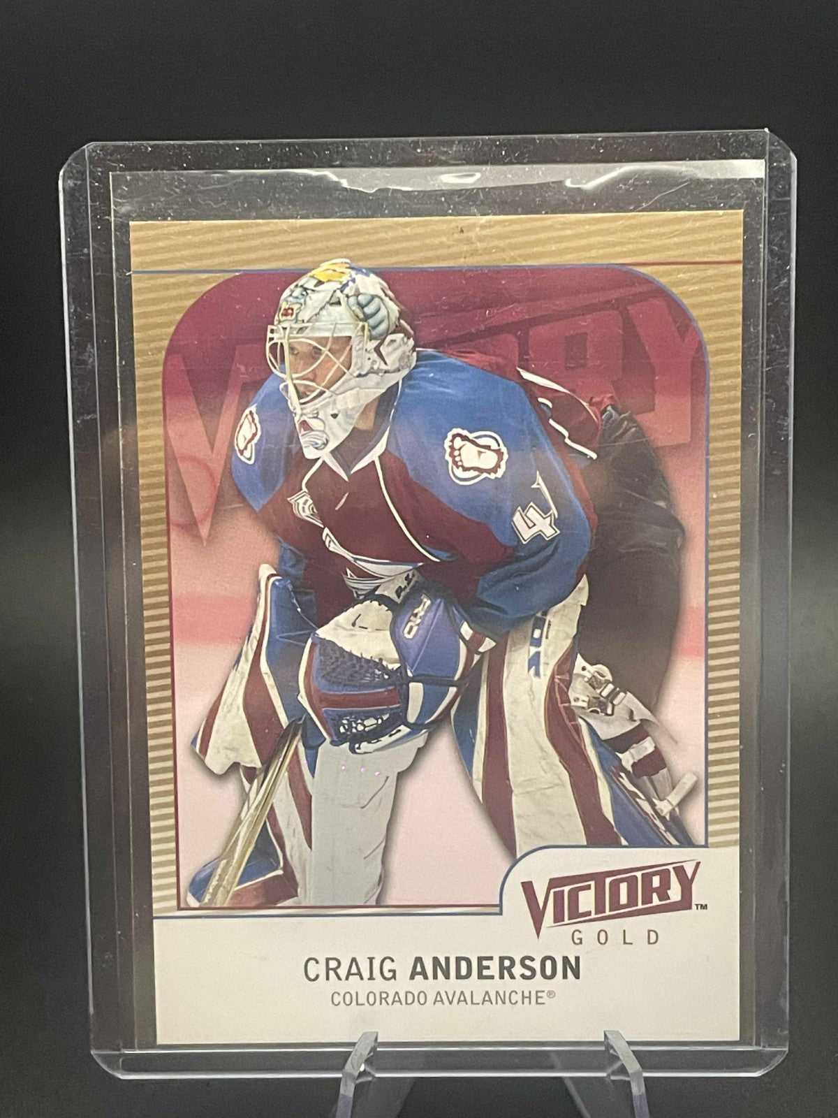 Craig Anderson 2009-10 Victory Gold #263 Colorado Avalanche REF I