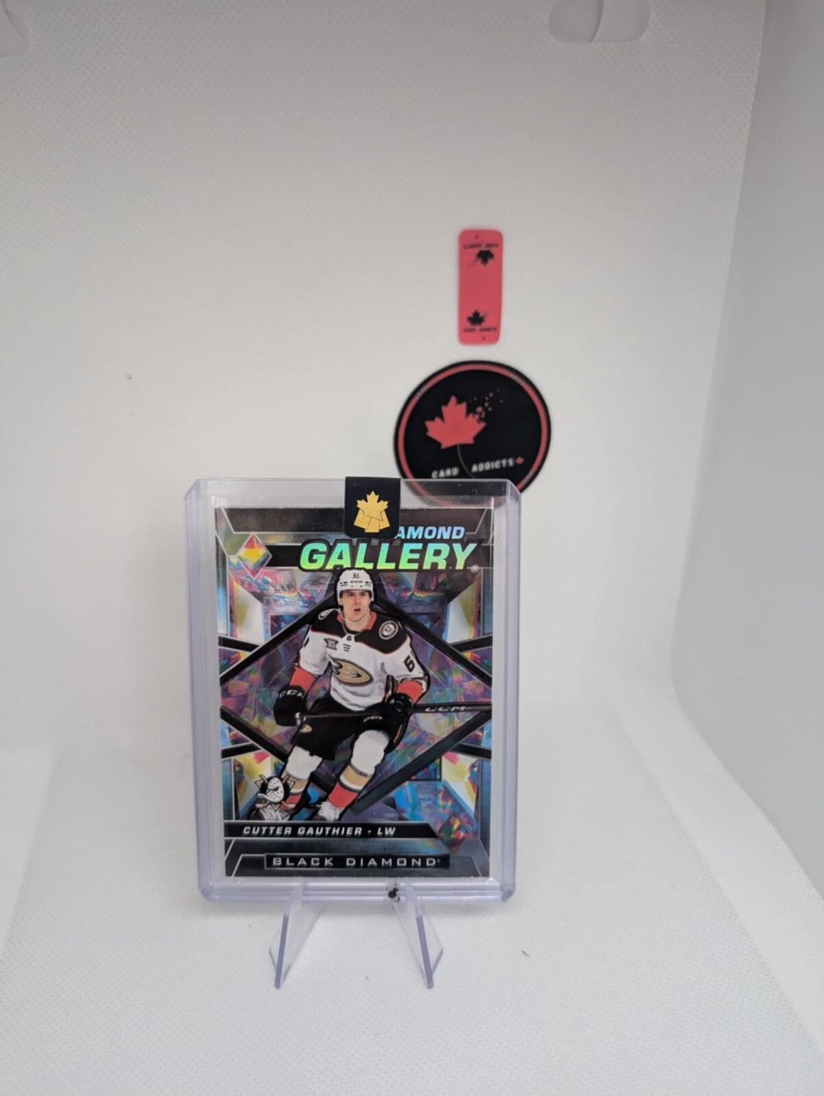 2024-25 Black Diamond Diamond Gallery #DG-CG Cutter Gauthier