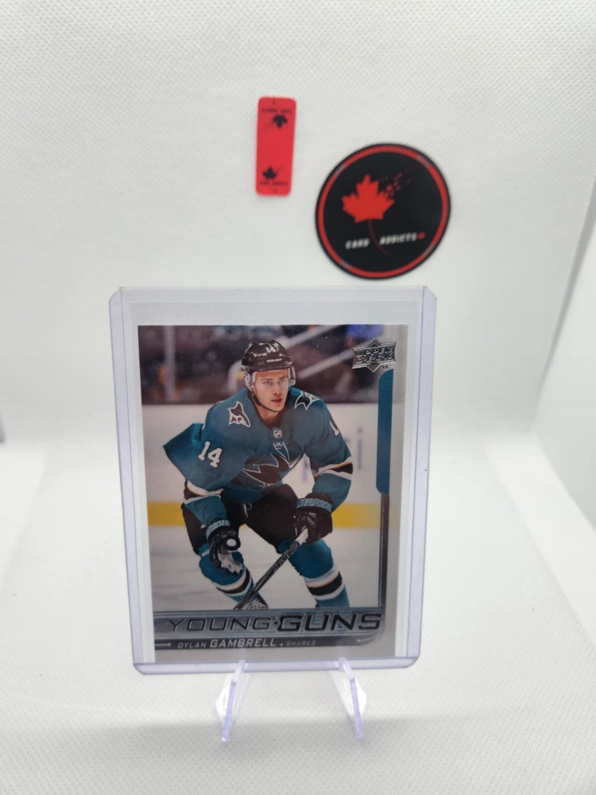 2018-19 Upper Deck Young Guns Hockey Rookie RC #488 Dylan Gambrell