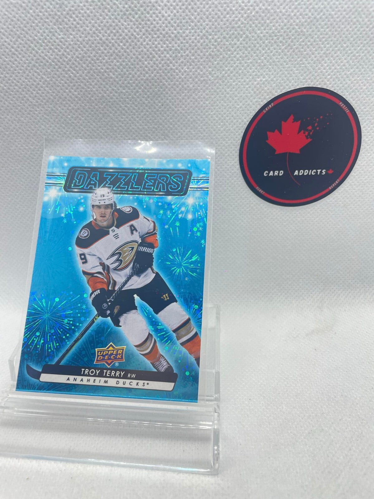 2023-24 Upper Deck Series 1 Dazzlers BLUE #DZ Troy Terry