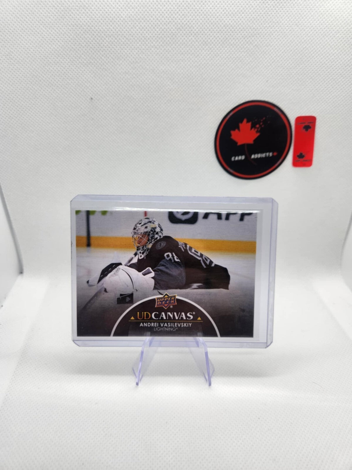 New Listing2021-22 Upper Deck Series 2 UD Canvas Black Andrei Vasilevskiy #C194