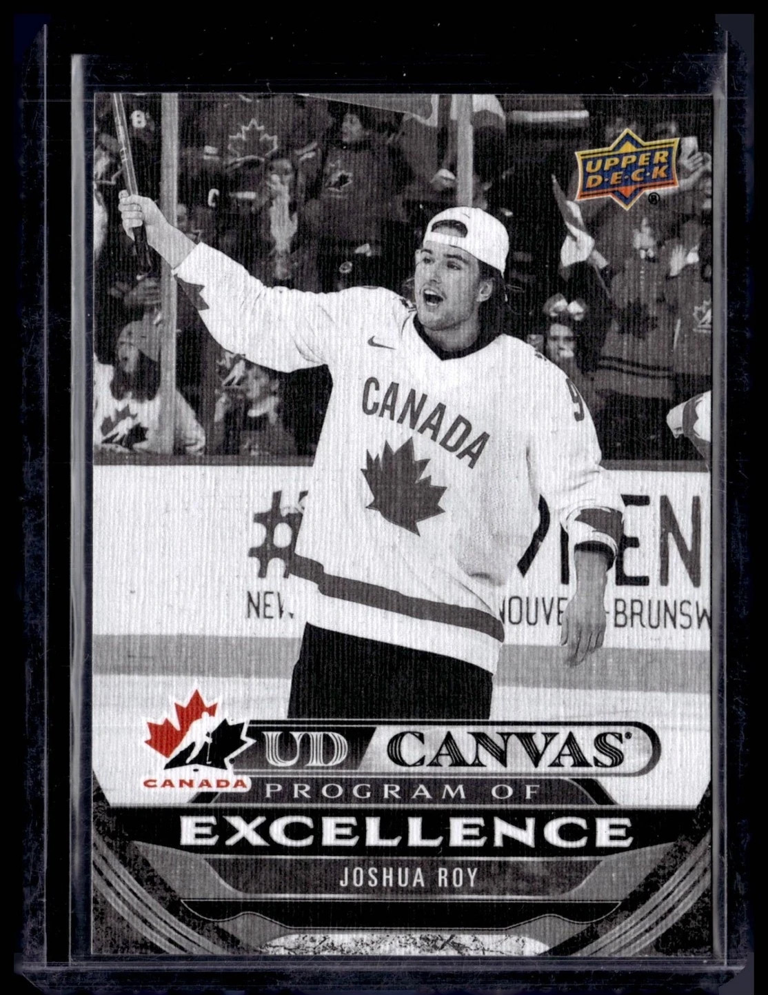 2024 UPPER DECK #C257 JOSHUA ROY UD CANVAS BLACK AND WHITE