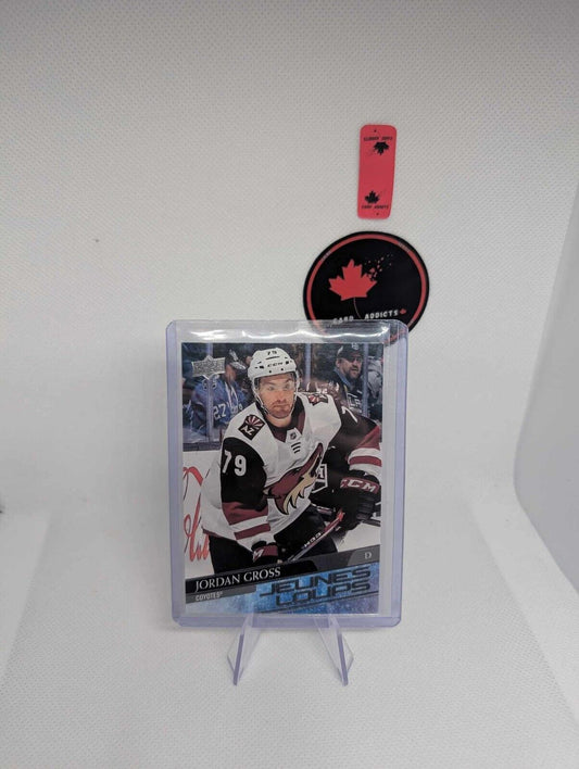 2020-21 Upper Deck French Young Guns Jeunes Loups #466 Jordan Gross