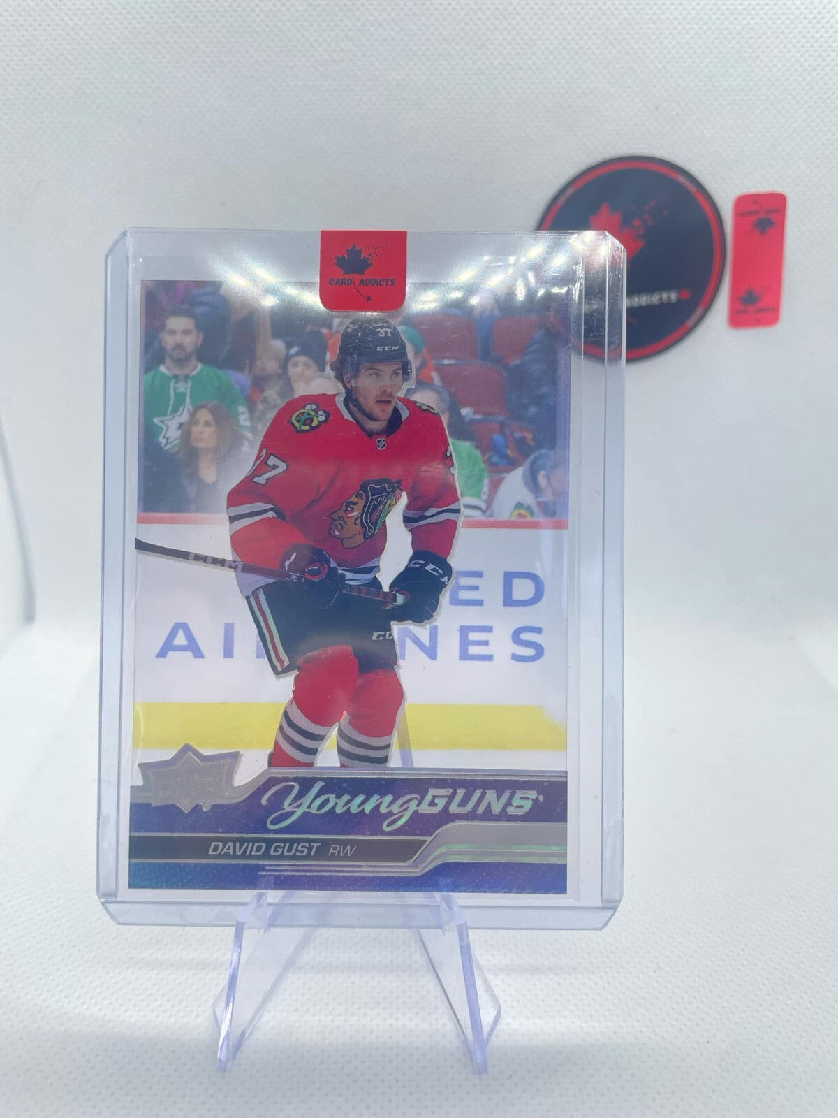 2023-24 Upper Deck Young Guns Acetate #218 David Gust BLACKHWAKS