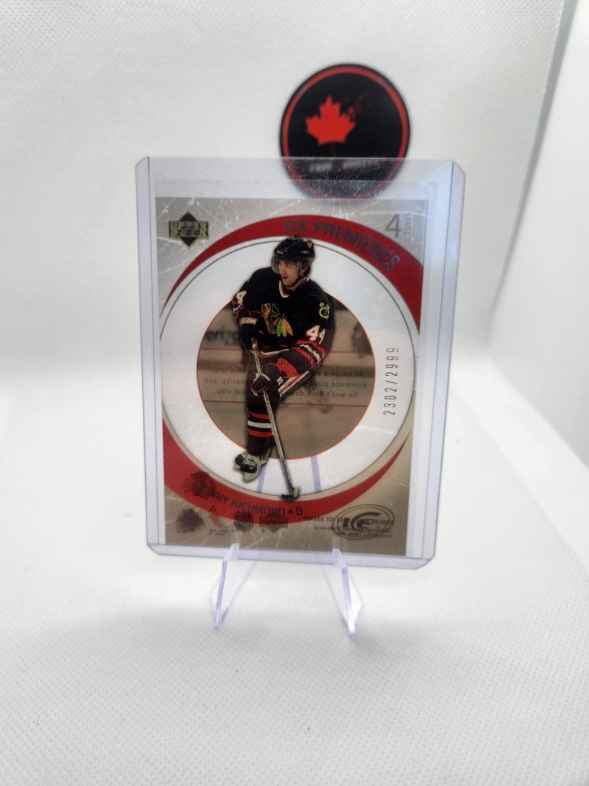 2005-06 Upper Deck Ice Premieres Danny Richmond Rookie /2999 #189 Chicago