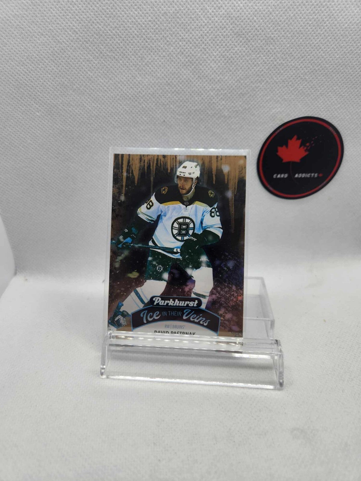 DAVID PASTRNAK ICE IN THEIR VEINS 2020-21 PARKHURST