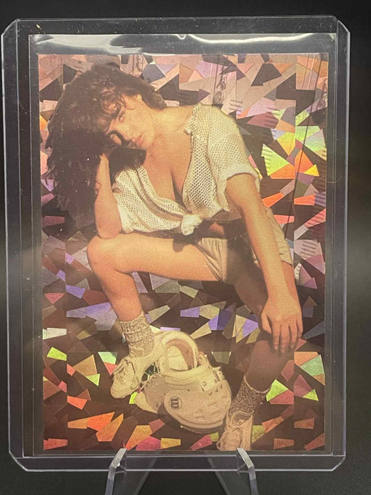 1992 Benchwarmers #4 Shauna O'Brien Prism