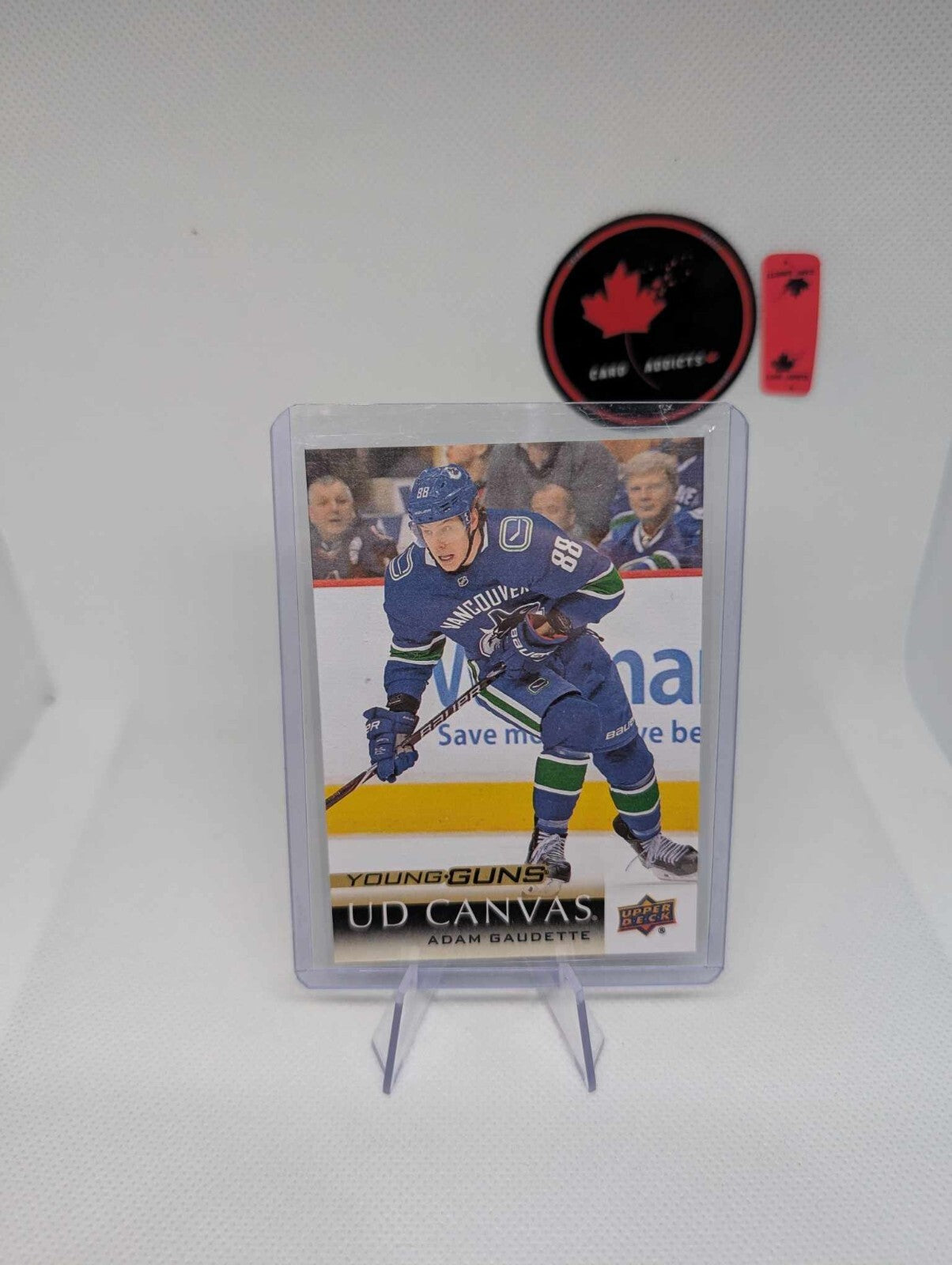 2018-19 Upper Deck Adam Gaudette Young Guns Canvas #C234 RC