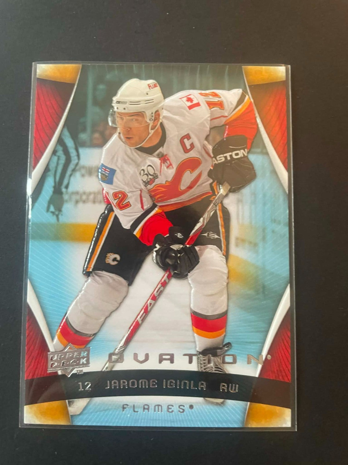 2009-10 Upper Deck Ovation Hockey 21 Jarome Iginla REF I