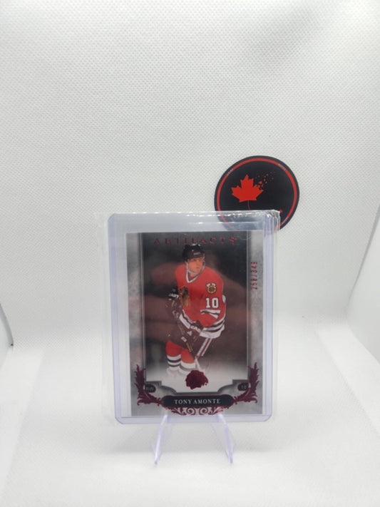 2018-19 Upper Deck Artifacts Legends Ruby /349 Tony Amonte #149