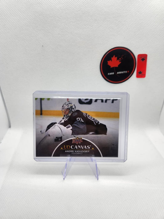 New Listing2021-22 Upper Deck Series 2 UD Canvas Black Andrei Vasilevskiy #C194