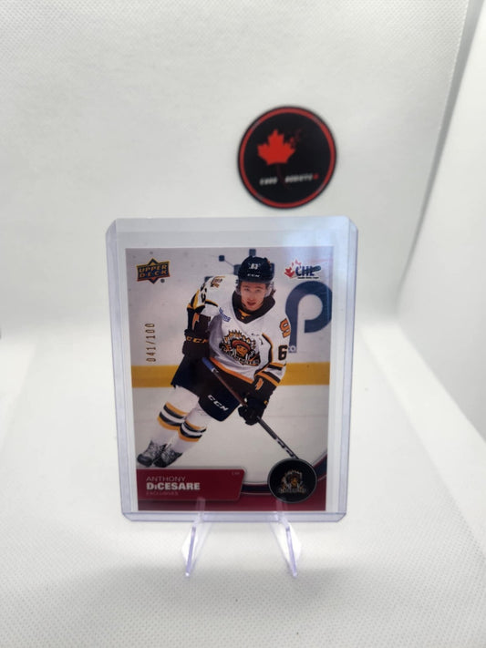 2021-22 Upper Deck CHL Anthony DiCesare #96 Exclusive /100