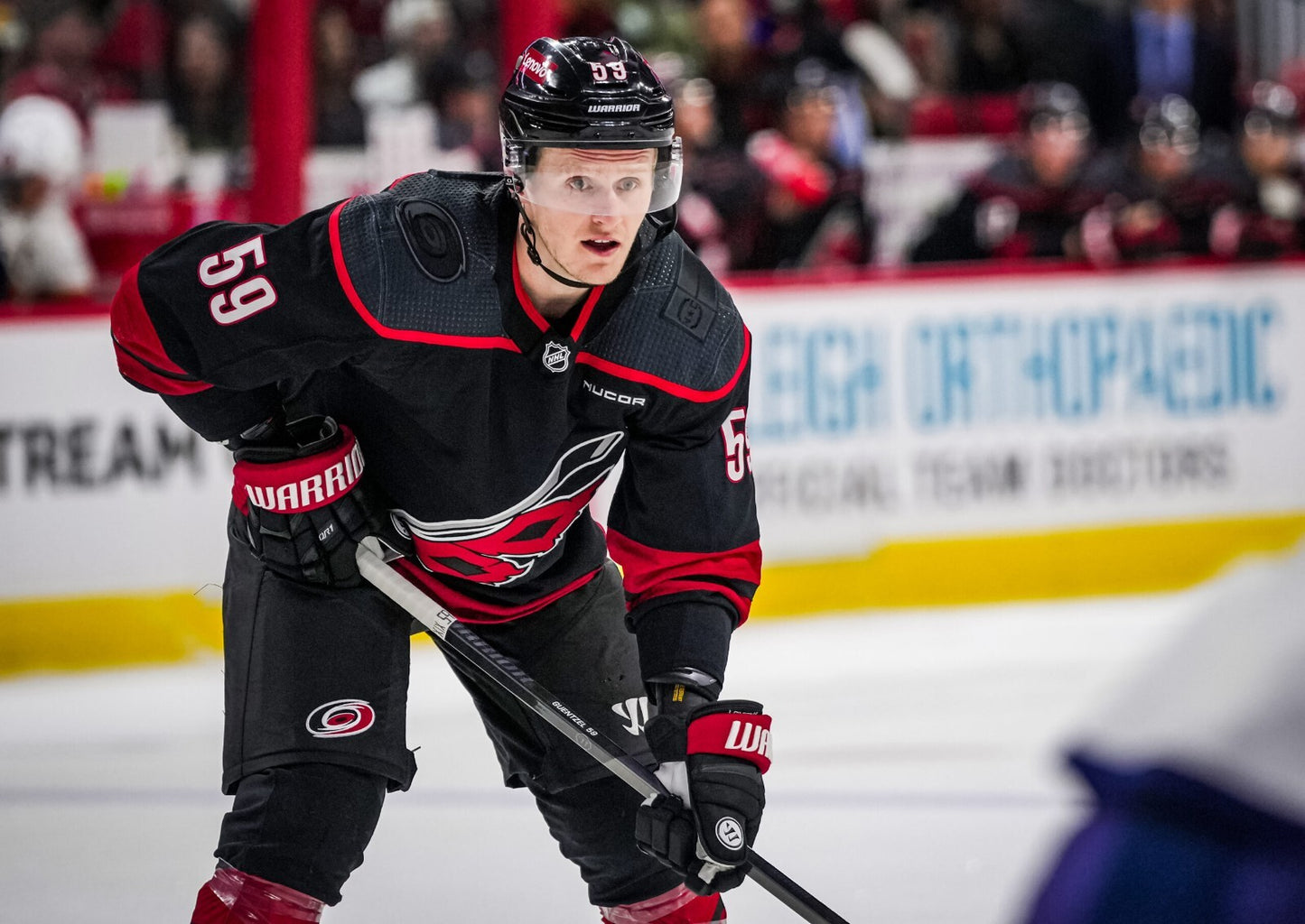 jake guentzel carolina hurricanes 8x10 unsigned photo